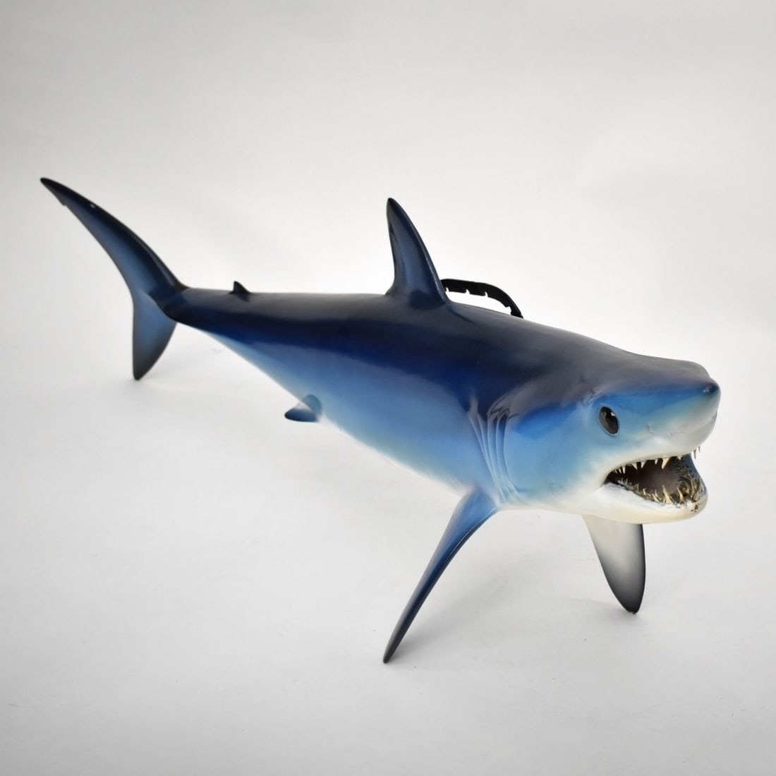 Mako Shark Taxidermy Mount: Mako Shark Taxidermy Mount with Real Teeth. Measures: 52" L. Kodner Galleries offers phone and absentee bidding at a low, flat 21% buyer’s premium without surcharge or hidden fees. For information, 