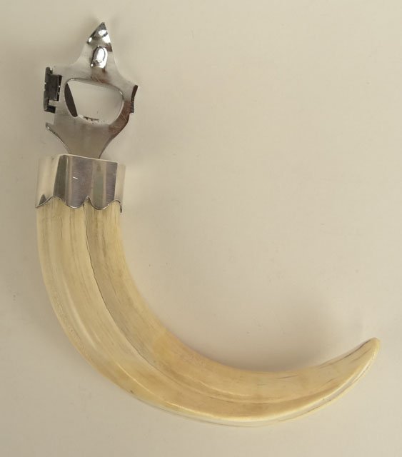 20th Century Silver Plate and Chrome Mounted Boar: 20th Century Silver Plate and Chrome Mounted Boar Tusk Ivory Bottle/Can Opener. Signed Sila. Age Splits to Tusk Otherwise Good Condition. Measures Approximately 8 Inches Long. This item will only be s