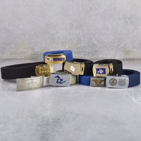 Multicolored Canvas Belts