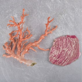 Antique Carved Natural Coral