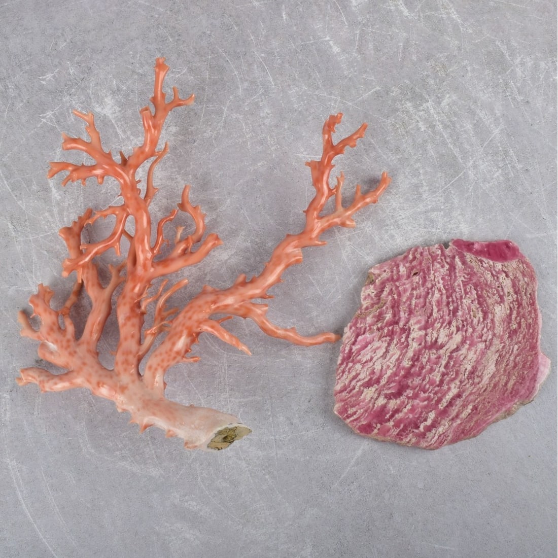 Antique Carved Natural Coral: Antique Carved Natural Coral Branch with Vibrant Pink Tones with an Accompanying Stone Base. Branch measures: 8-1/2" high, 10" wide, 2-3/4" deep. Total approximate weight of tree: 251.1 grams. Kodner 