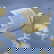 item-210897043=3