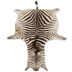 Zebra Full Body Rug