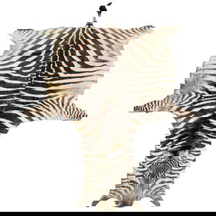 Zebra Full Body Rug: Zebra Full Body Skin Rug. Body measures: 54" wide, 105" long. Kodner Galleries offers phone and absentee bidding at a low, flat 21% buyer’s premium without surcharge or hidden fees. For information,