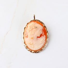 Shell and 14K Cameo Pendant / Brooch