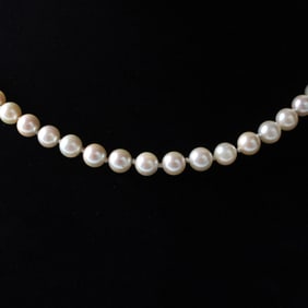 Pearl and 14K Necklace