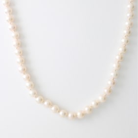 Pearl and 14K Necklace