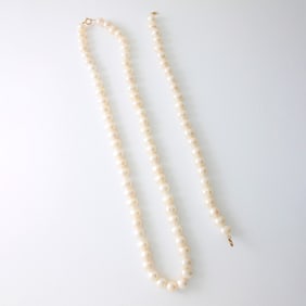 Pearl and 14K Necklace and Bracelet