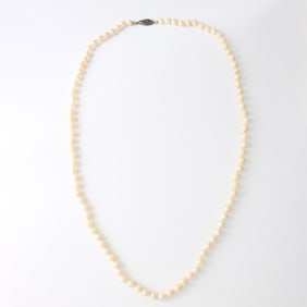Pearl Necklace