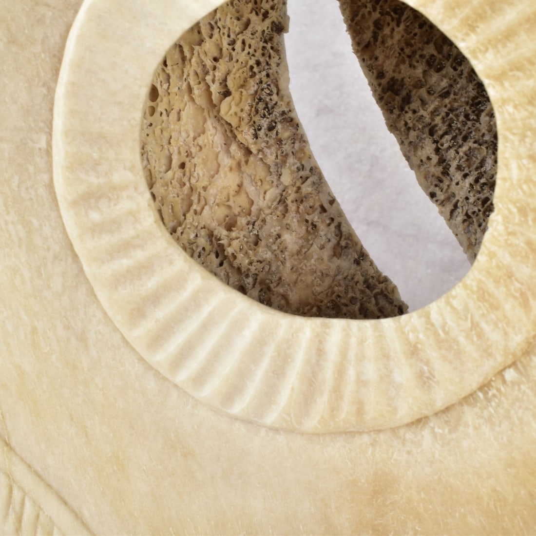 Exceptionally Large Carved Bone Figure - 7