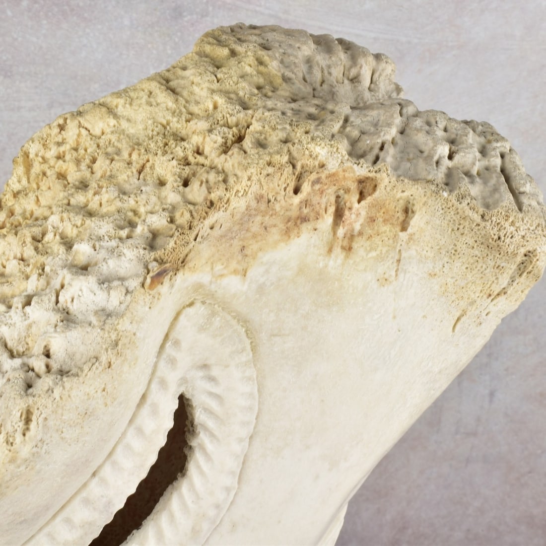 Exceptionally Large Carved Bone Figure - 8