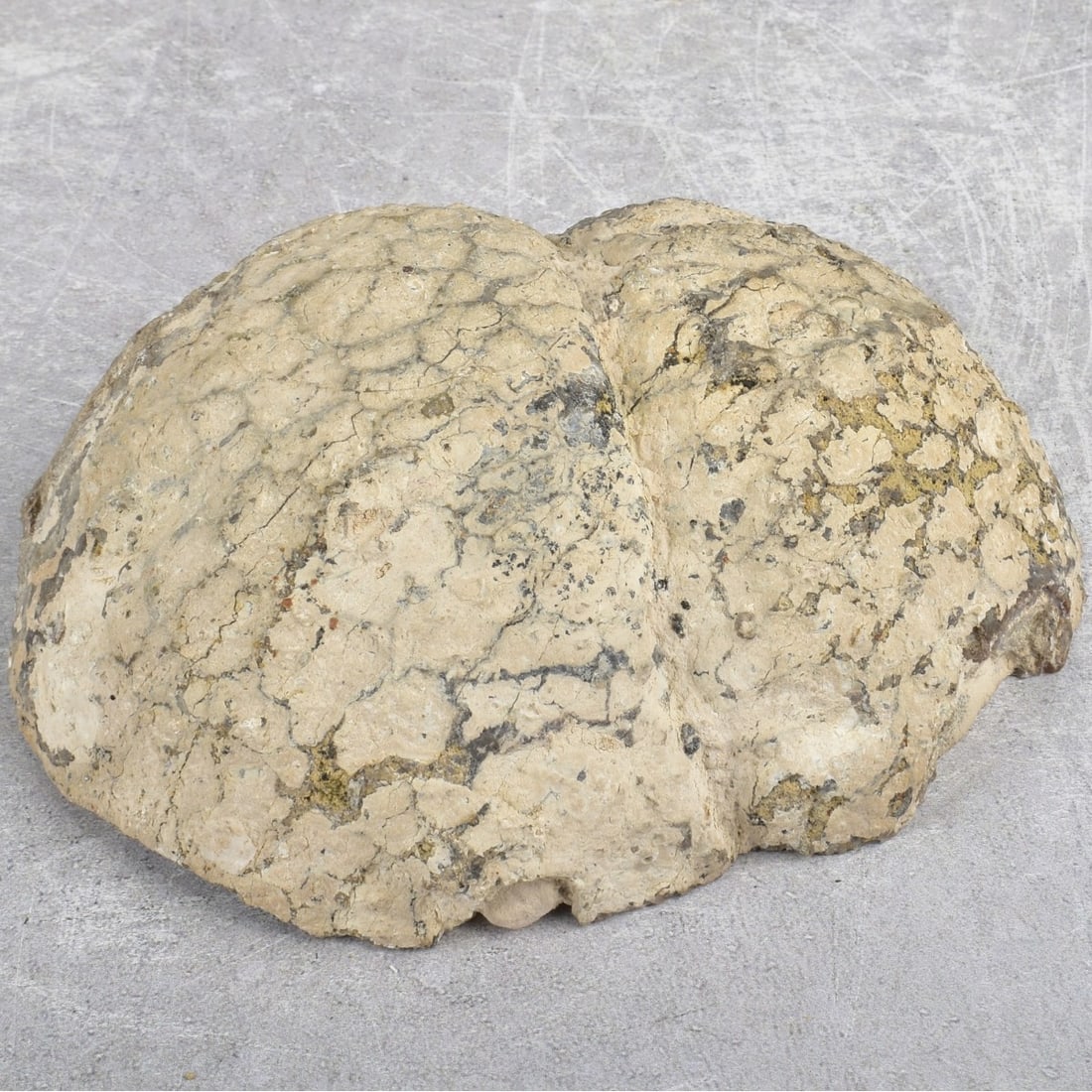 Natural Geodes - 4