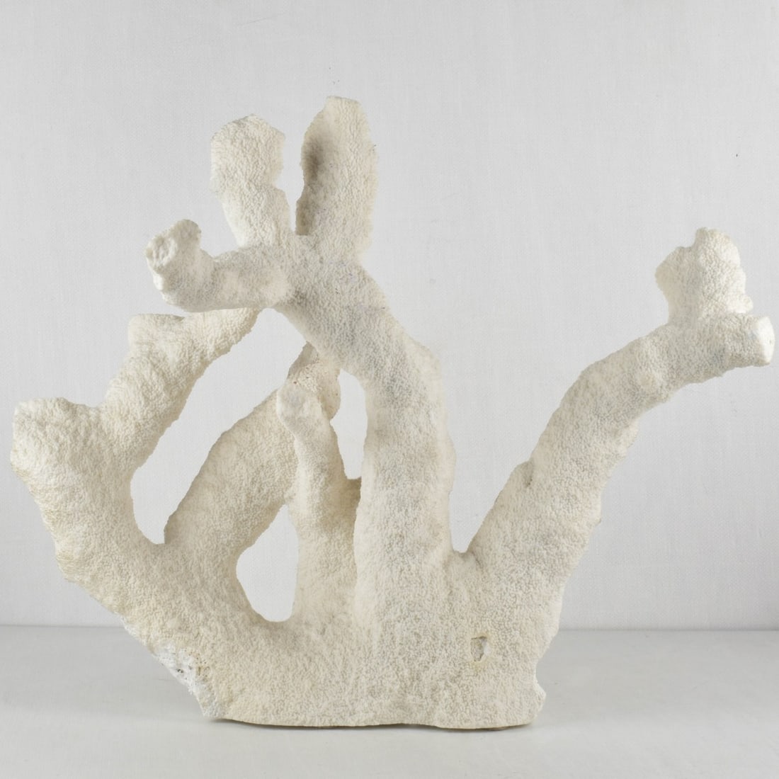 Large Natural White Sea Coral (1 of 8)