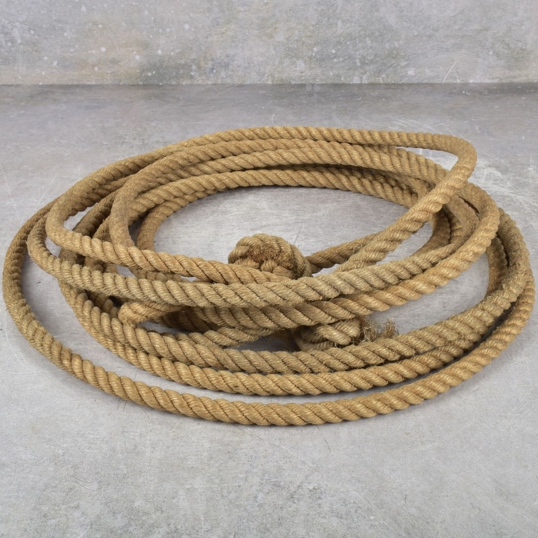 "The Horse Whisperer" Prop Rope (1 of 2)