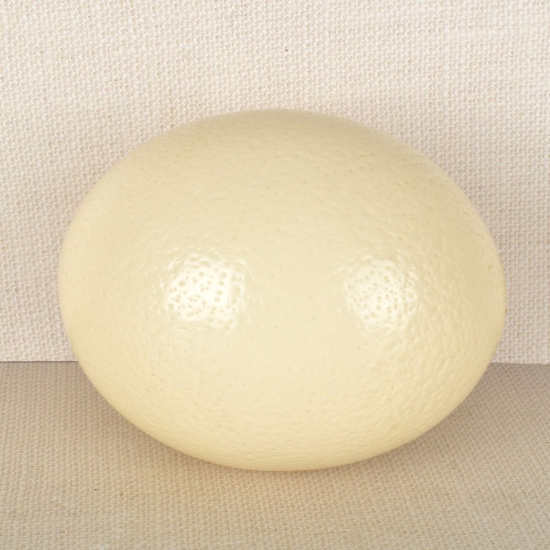 Ostrich Egg with Stand - 6