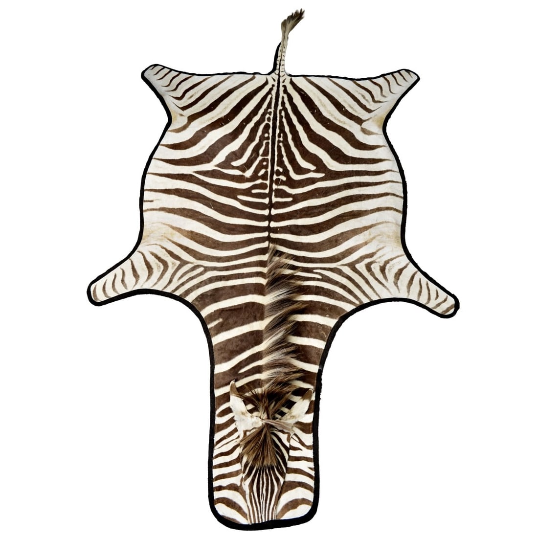 African Zebra Full Skin Rug: African Zebra Full Skin Rug. Retailed by Robert Allen Beacon Hill for $6,993.00. Measures approx. 99" x 69" (w/o tail). Kodner Galleries offers phone and absentee bidding at a low, flat 21% buyer?s