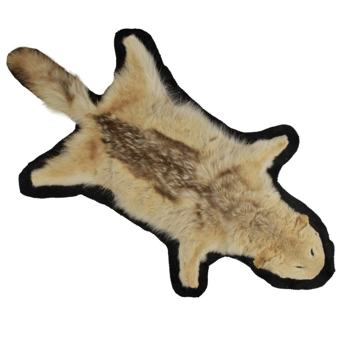 Full Skin Animal Pelt: Full Skin Animal Pelt. Measures approx. 29" x 19" (w/o tail). Kodner Galleries offers phone and absentee bidding at a low, flat 21% buyer?s premium without surcharge or hidden fees. For information,