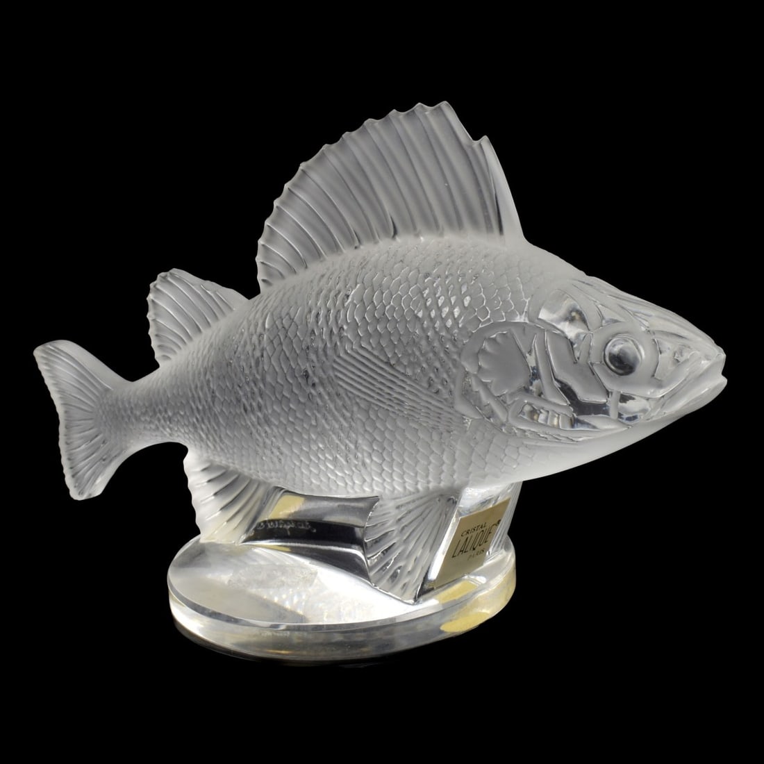 Lalique France Frosted Crystal Fish: Lalique France Frosted Crystal "Perche" Fish Figural Paperweight. Signed "Lalique France" in script to the bottom. Measures: 4" high, 6-1/4" wide, 1-1/8" deep. Kodner Galleries offers phone and