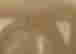 item-21026166=6