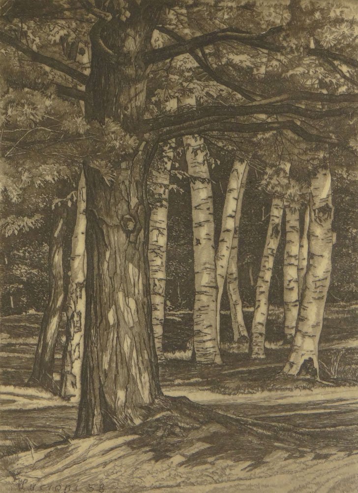 Luigi Lucioni Italian-American-Manchester, Vermont: Luigi Lucioni Italian-American-Manchester, Vermont (1900-1988) Very Rare Artist Pulled Etching "Pine in the Birches" Circa 1958. from an Edition of 50 Christmas Cards. Signed and dated by the artist i
