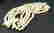 item-31919231=5