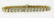 UGL Certified Lady's 14.52 Carat Thirty-Seven Round