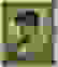 item-37187390=2
