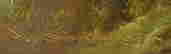 item-42906229=3