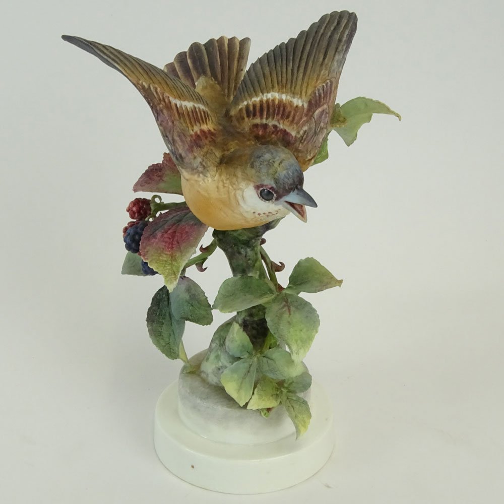 Dorothy Doughty Royal Worcester Porcelain Bird Group (1 of 7)