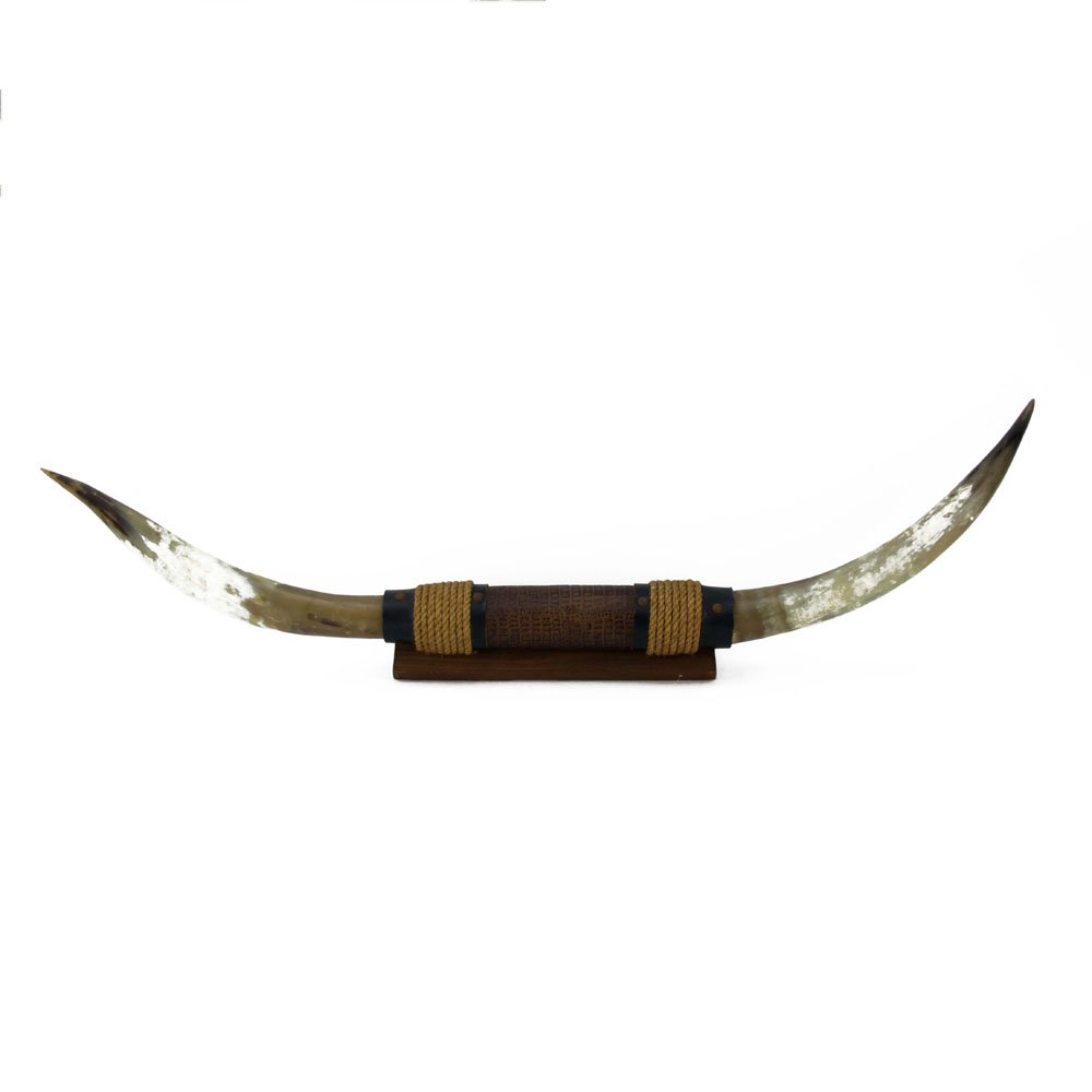 Vintage Bull Longhorn Steer Mount. Repair to horn on (1 of 3)