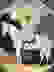 item-96161240=5