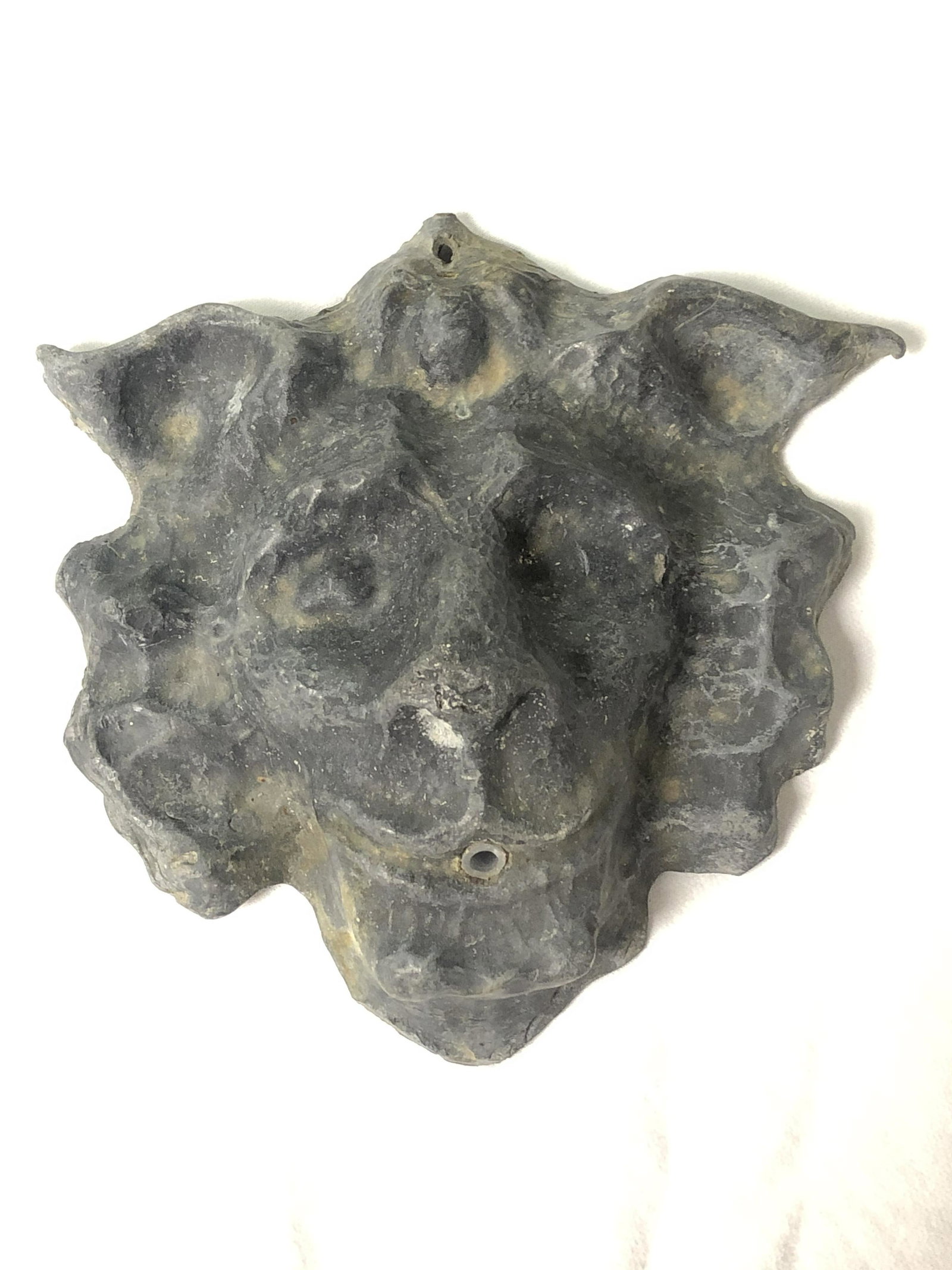 Heavy Metal Lion Head Fountain Spout: Heavy Metal Lion Head Fountain Spout