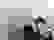 item-98405588=3