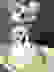 item-98613761=3