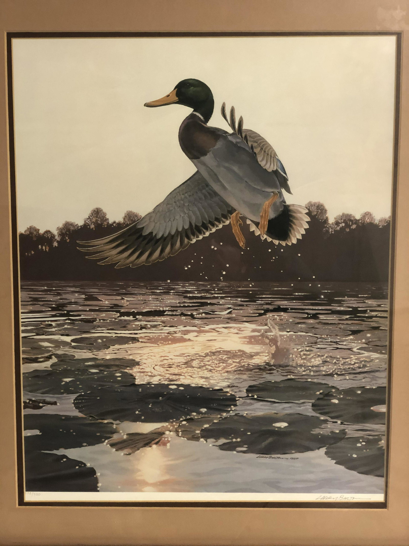 Signed #d Larry Barton Duck Lithograph - #d 575 / 950 ,: Signed #d Larry Barton Duck Lithograph - #d 575 / 950 , Matted & Framed 24'' x 28'' , Sight 15.5'' x 19.5''