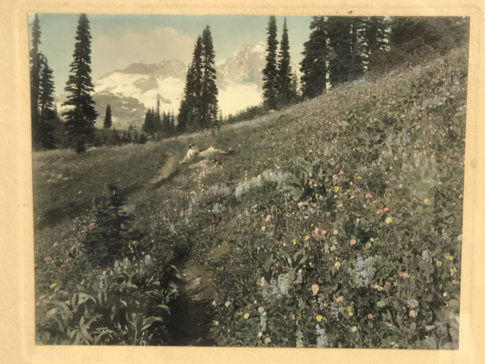 Asahel Curtis (1874-1941)Washington w/ Woman - Hand (1 of 5)