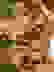 item-105263965=2