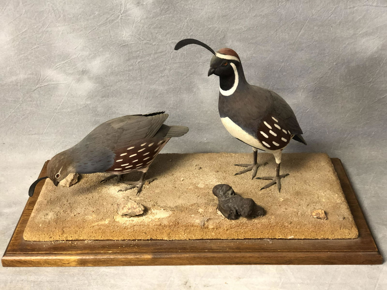 Signed,Handcarved Quail Carving ''Al Noran'' - Local (1 of 5)