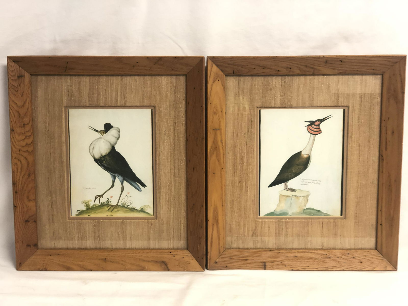 Pr of 1960s Bird Prints in Frames - Framed 15.75'' x (1 of 4)