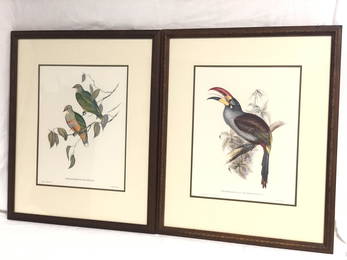 (2)John Gould & HC Richter Color Lithographs -