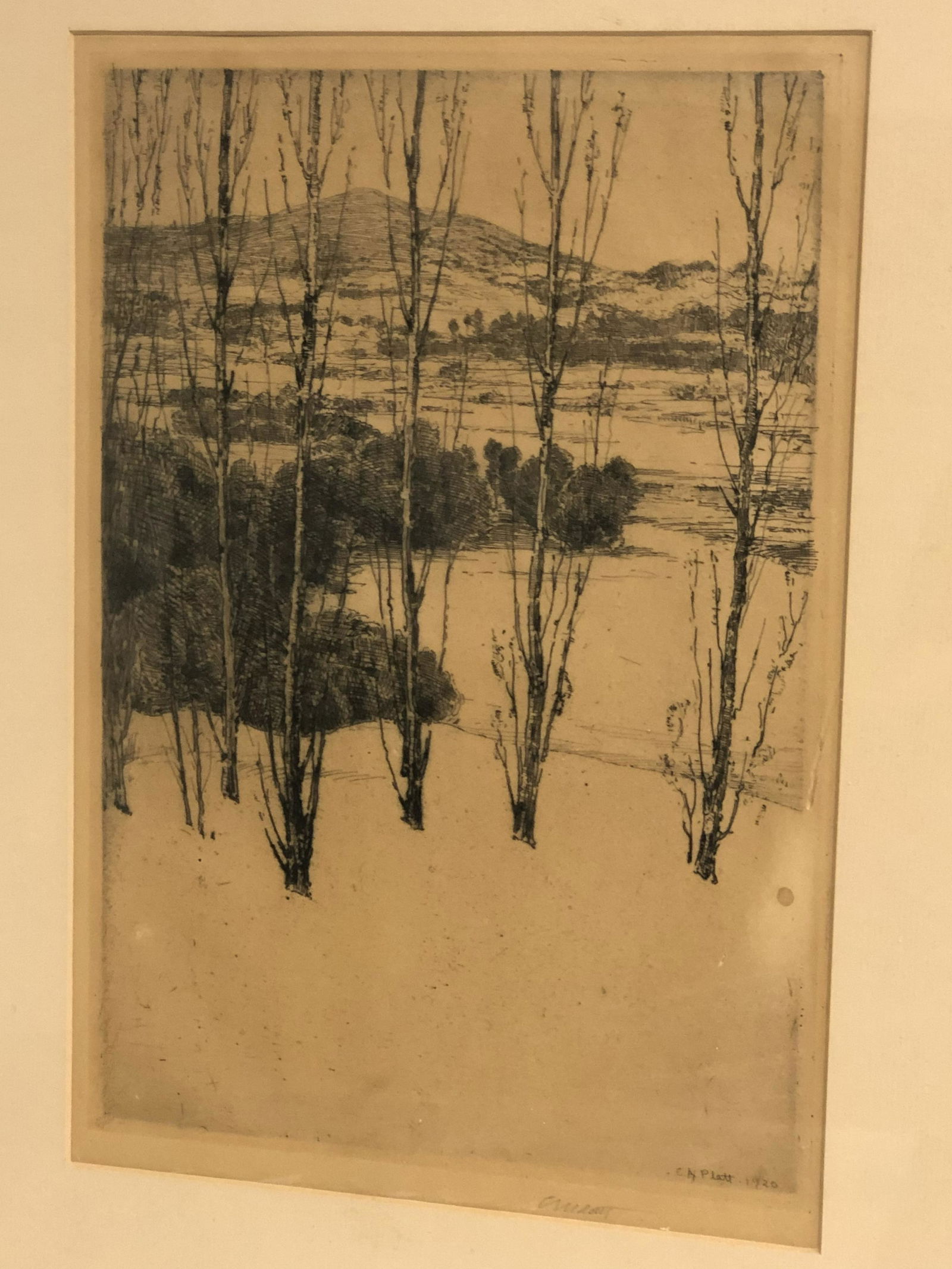 (1861-1933)Charles Platt Signed Etching - Framed 14.5'' (1 of 3)