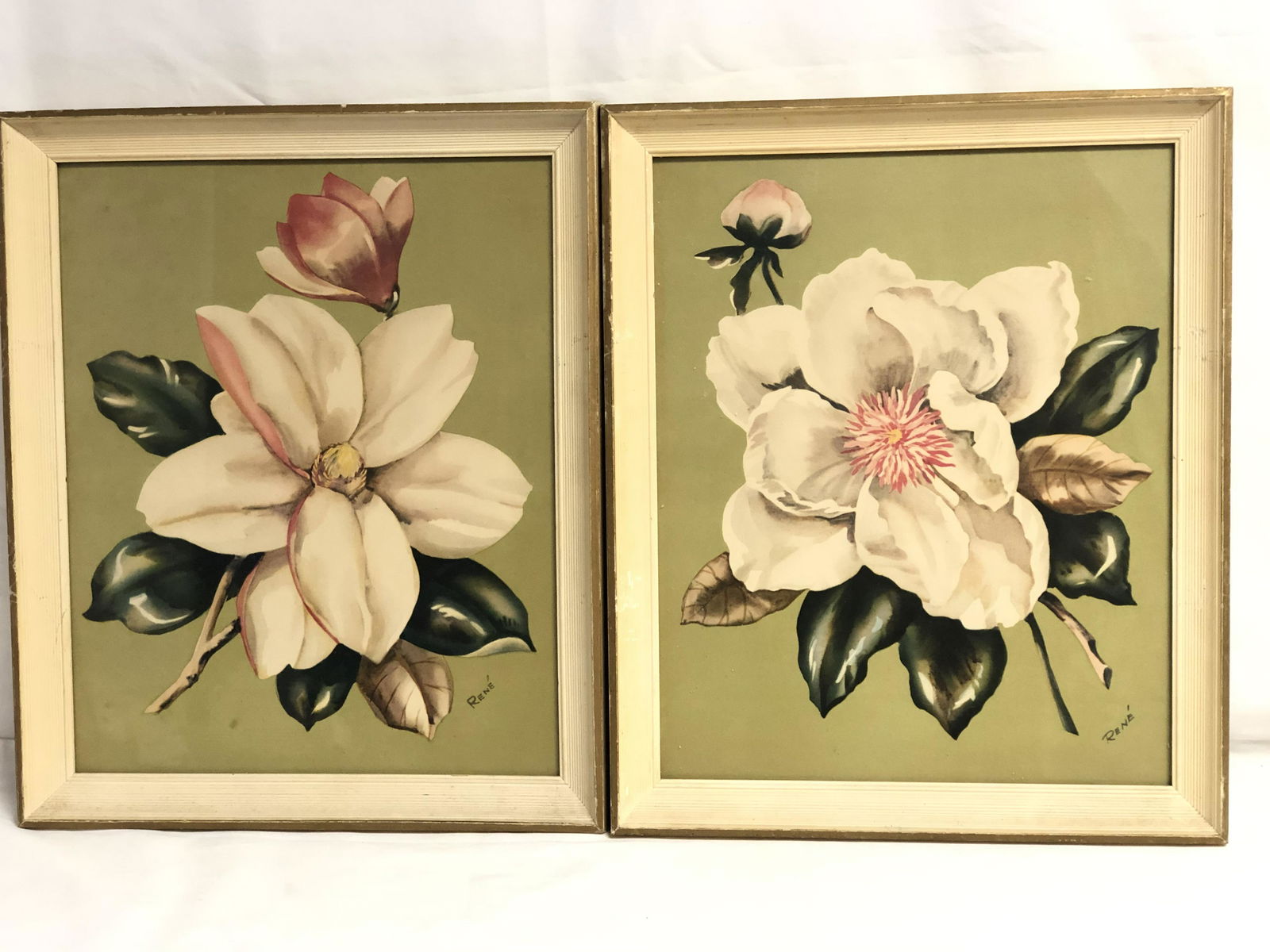 Mid Century Magnolia Floral Prints - By 'Rene' , Framed (1 of 3)