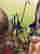 item-114148614=2