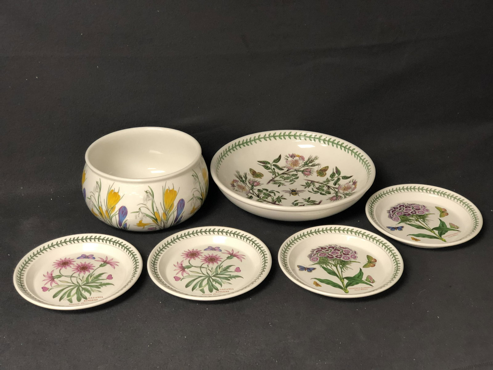 (6)Portmerion Botanic Garden Plates, Bowl - (4)8.5'' (1 of 9)