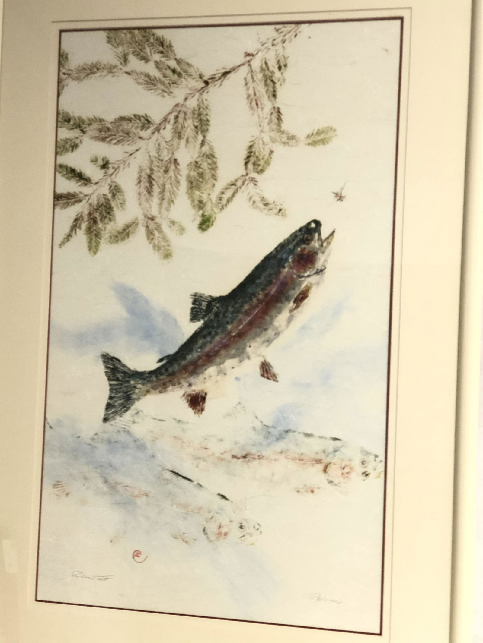 Signed Ron Warner Rainbow Trout Gyotaku - Proff.Framed (1 of 5)