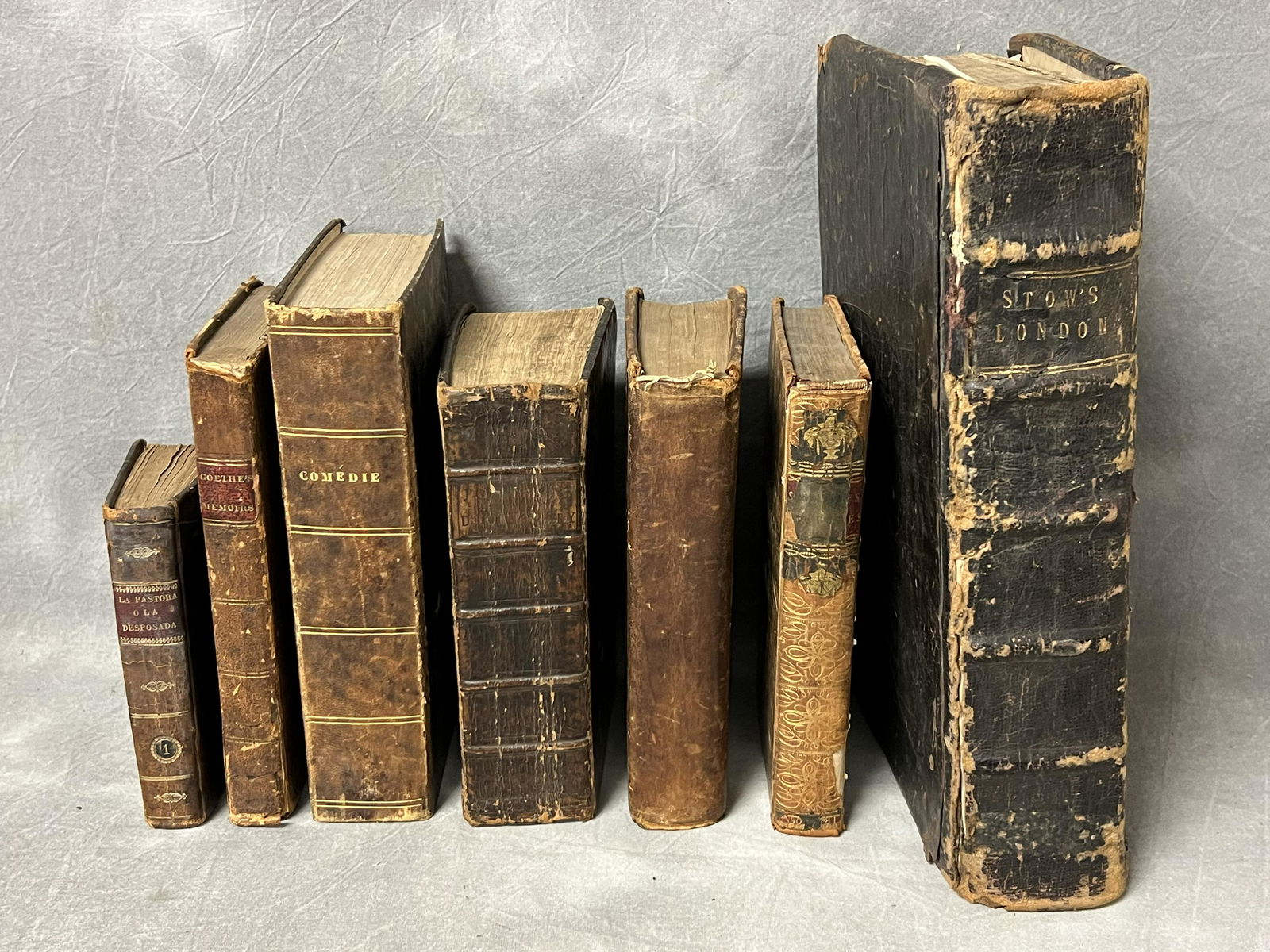 (7)Antique European Books (1 of 14)