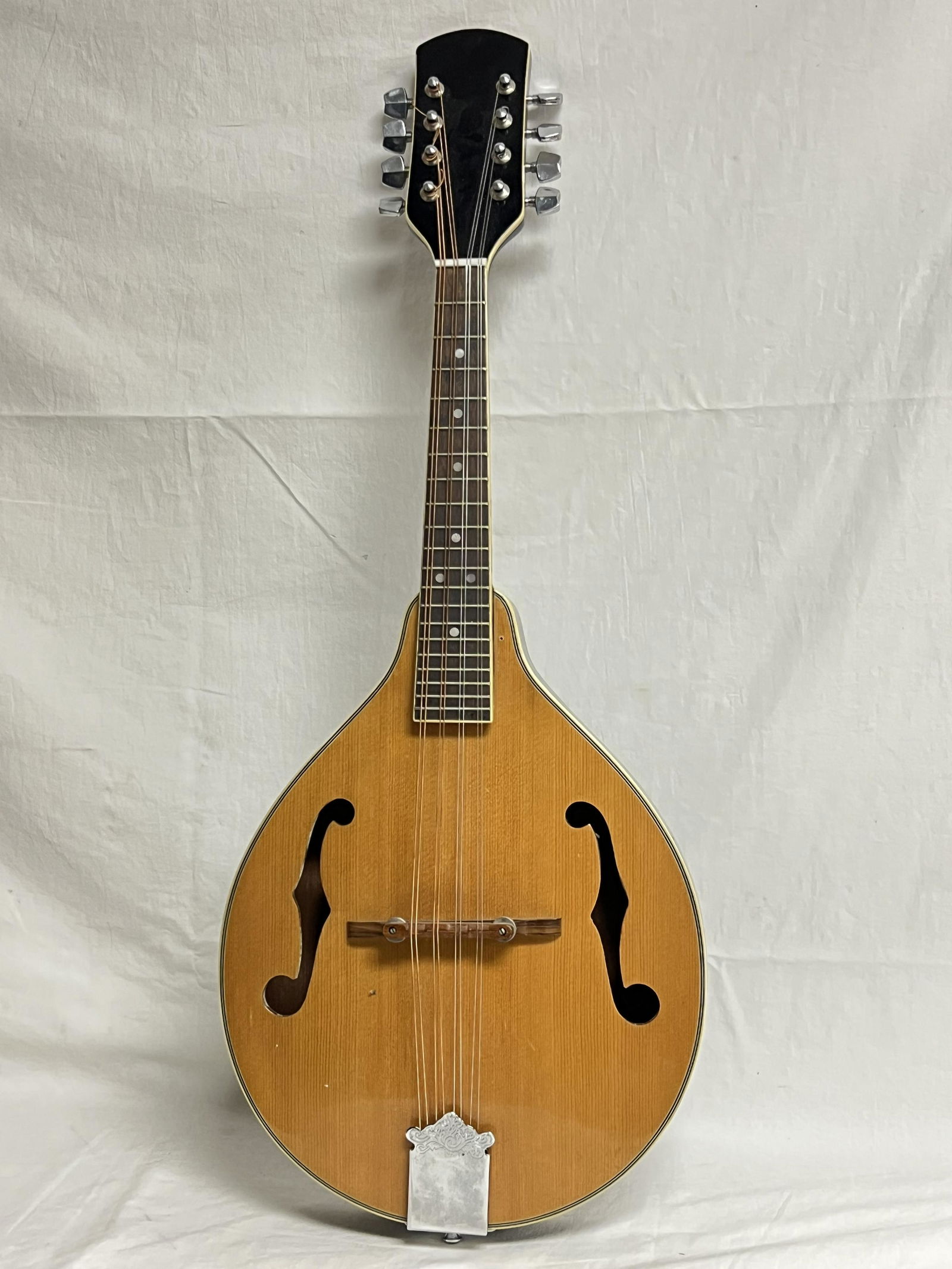 8 String Mandolin (1 of 8)