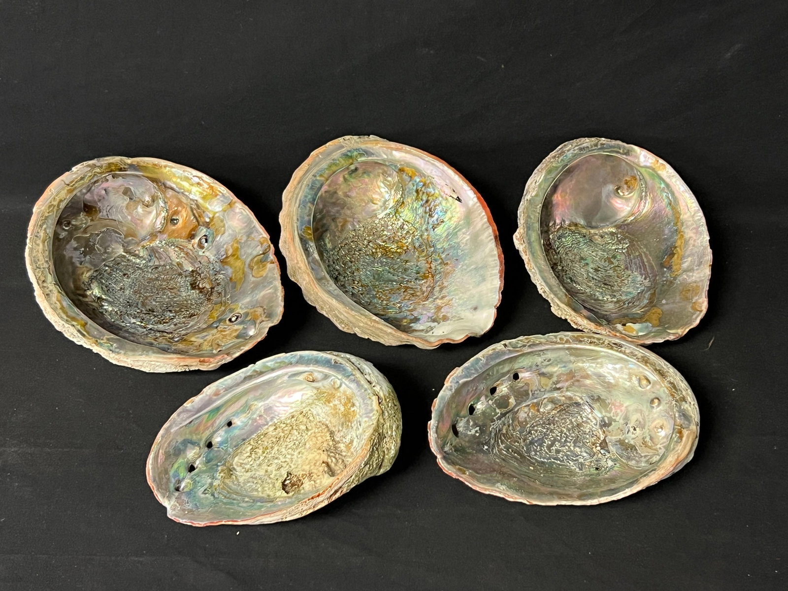(5)Vtg/Atq Abalone Shells - 9'' x 7'' to 7'' x 5'' (1 of 4)
