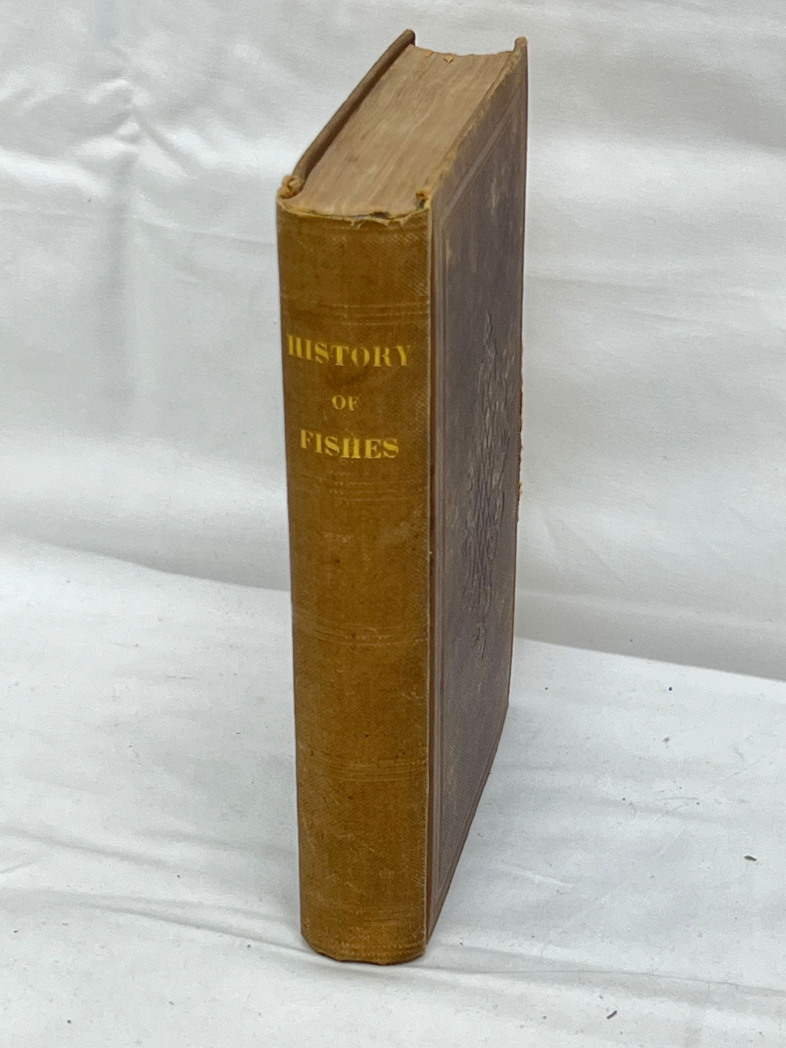 1843 Natural History of the Fishes by W.Tickner - William Tickner 'Fishes of Massachusetts' w/ 54 (1 of 7)