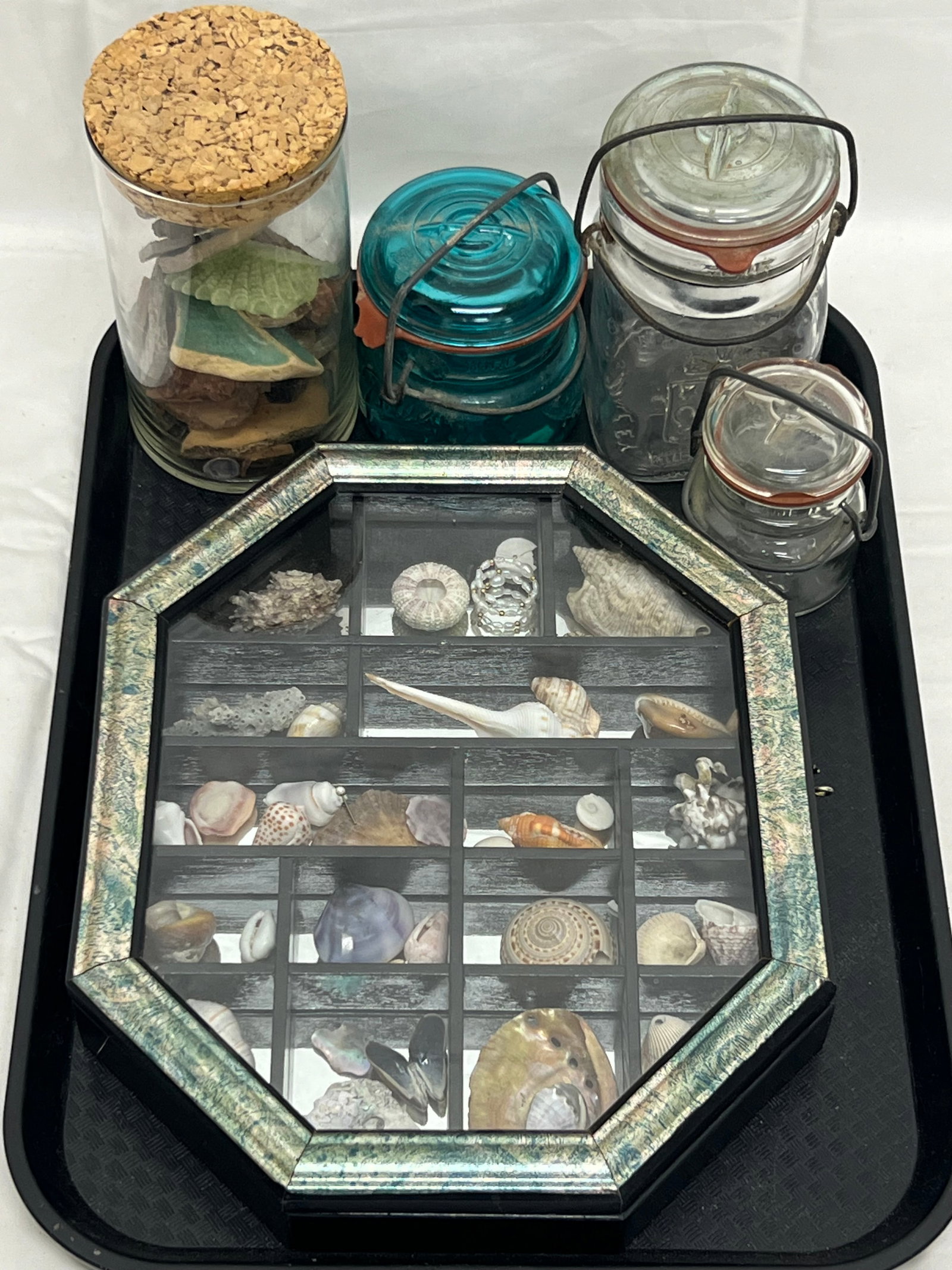 Shadow Box w/ Asst Shells,Jars, More - Box 9.25'' x 2'' x 11.25'': Shadow Box w/ Asst Shells,Jars, More - Box 9.25'' x 2'' x 11.25''